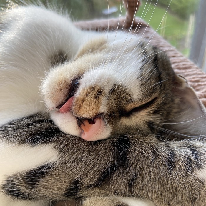 Foto von Angel