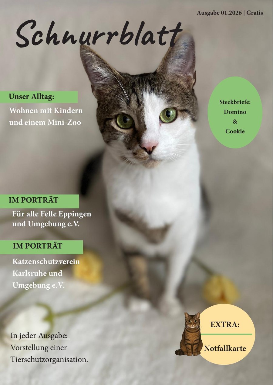 Titelblatt Ausgabe 1/2026