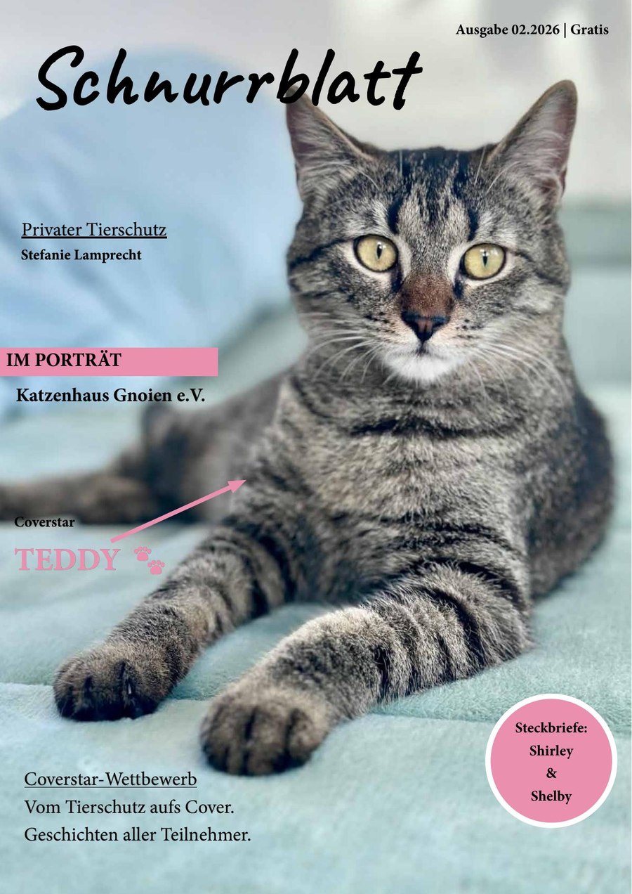 Titelfoto der aktuellen Ausgabe