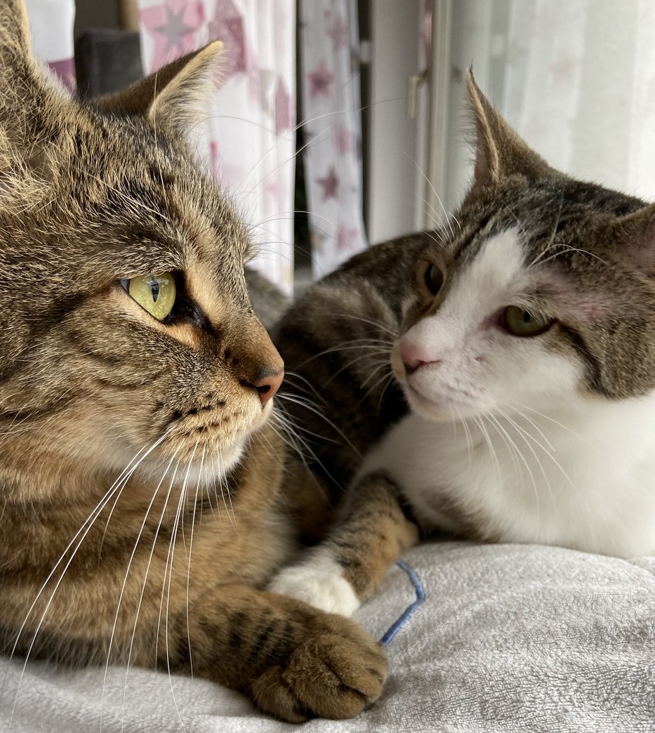 Foto von Messi und Angel